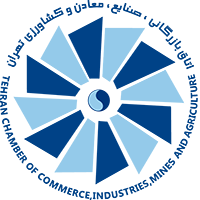 لوگو شرکت فناوران توسعه امن ناجی